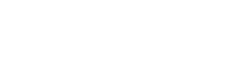 Logo wit Xenz
